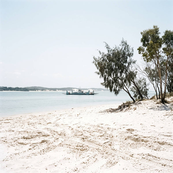 waiting for the ferry — white sand and she-oaks, the barge offshore, inskip point, january